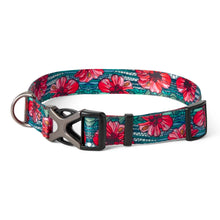 Load image into Gallery viewer, Orvis X Fishe Dog Collar
