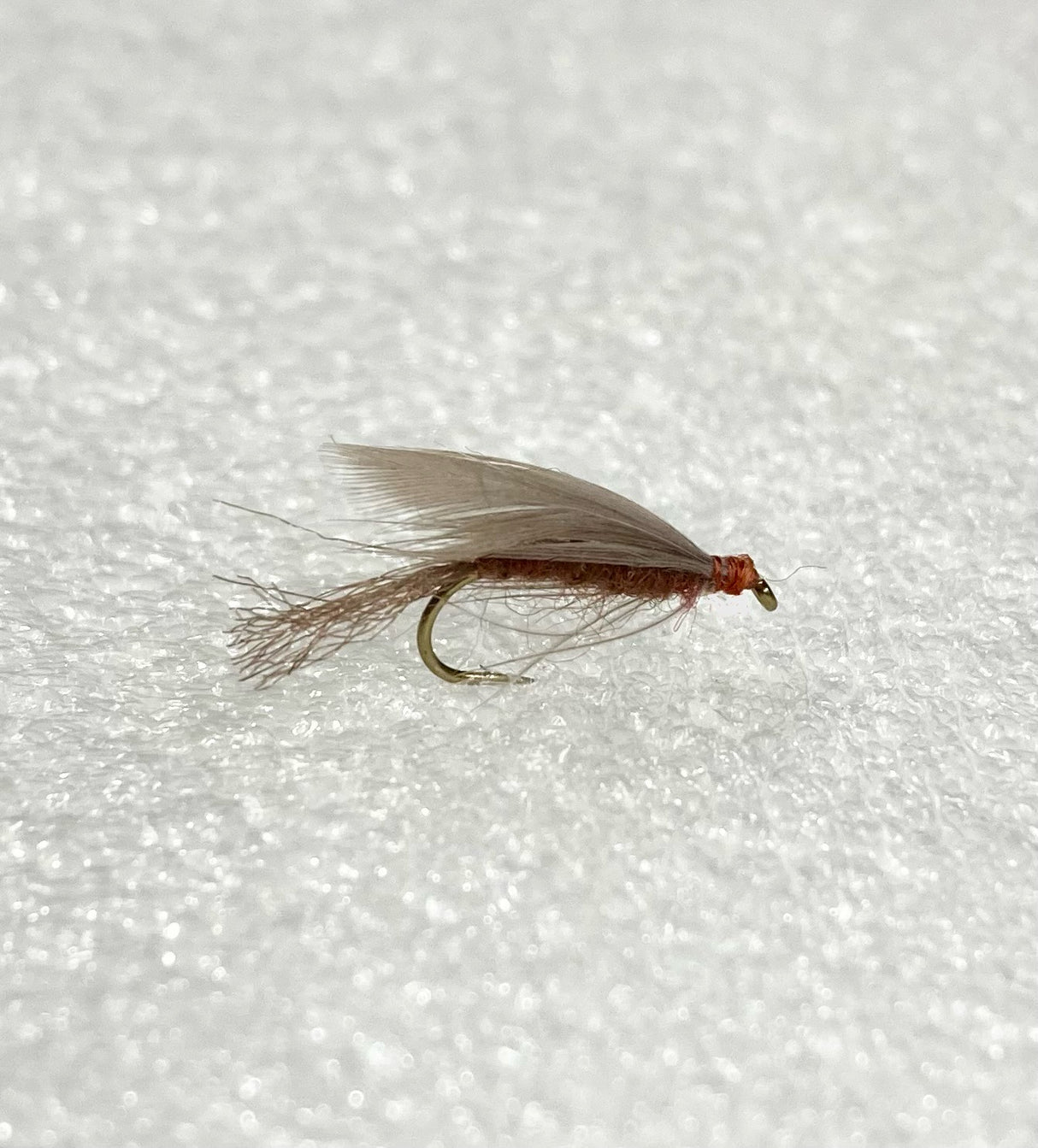 Red Quill Wet - 1/2 dozen