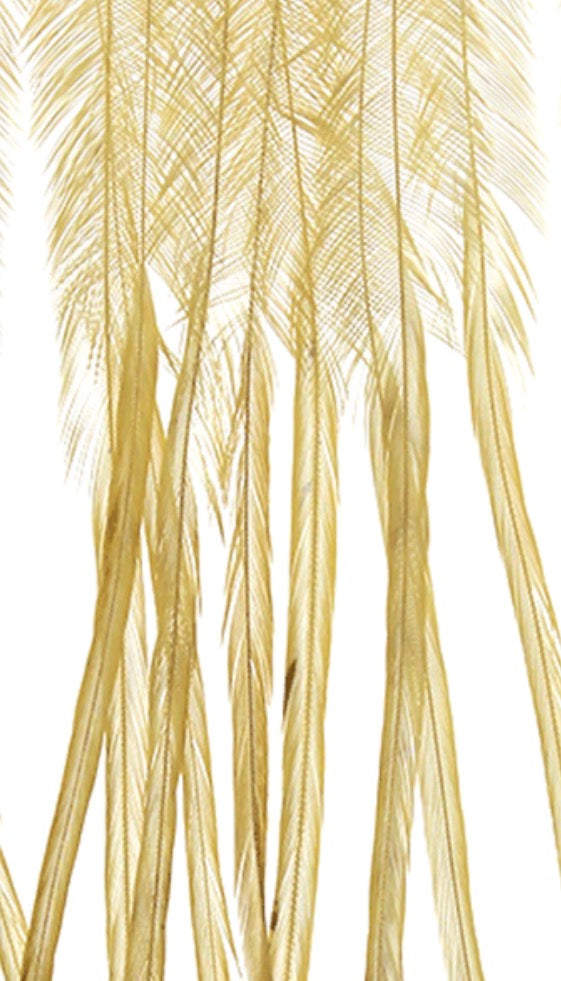 SALE - Whiting 100 Pack