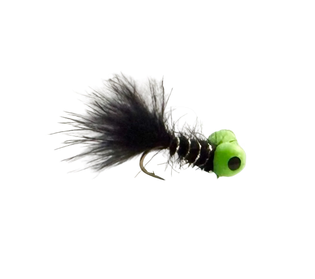 Big Eyed Panfish Bug