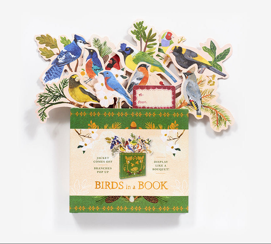 'Birds in a Book' (Uplifting Editions) by Lesley Earle & Rachel Grant