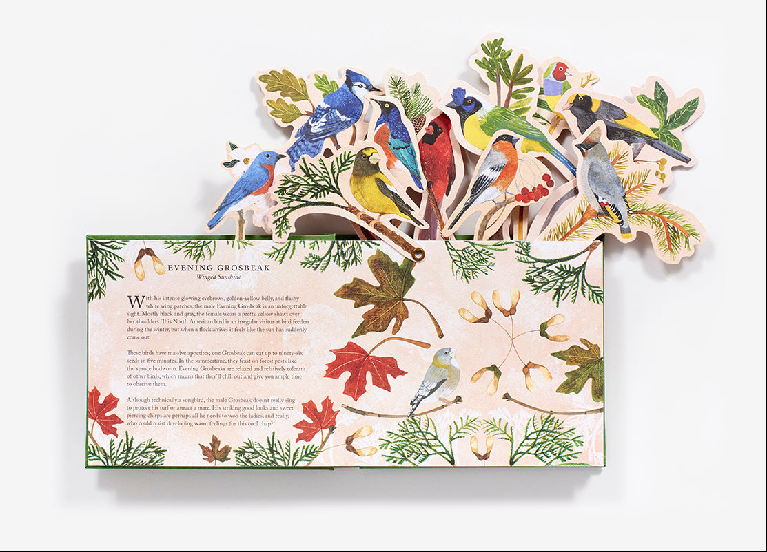 'Birds in a Book' (Uplifting Editions) by Lesley Earle & Rachel Grant