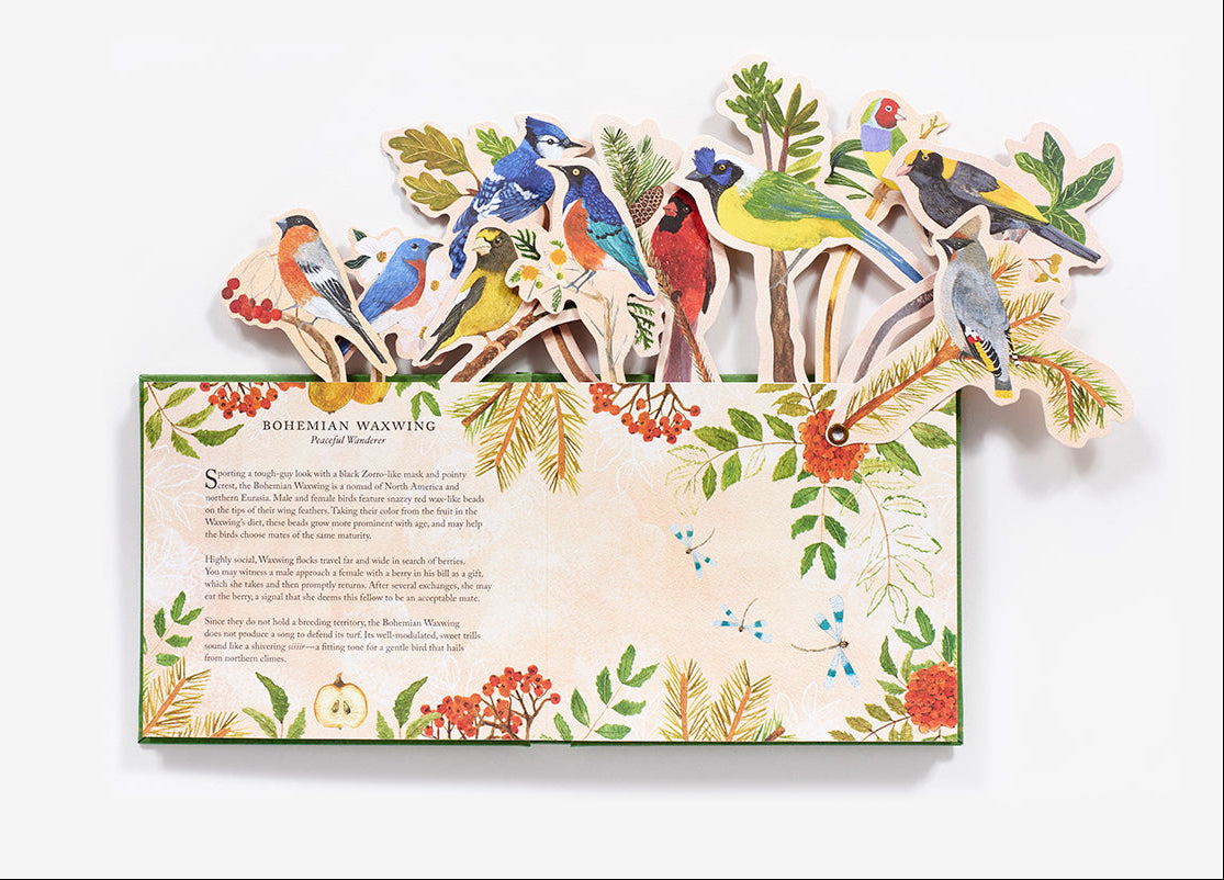 'Birds in a Book' (Uplifting Editions) by Lesley Earle & Rachel Grant