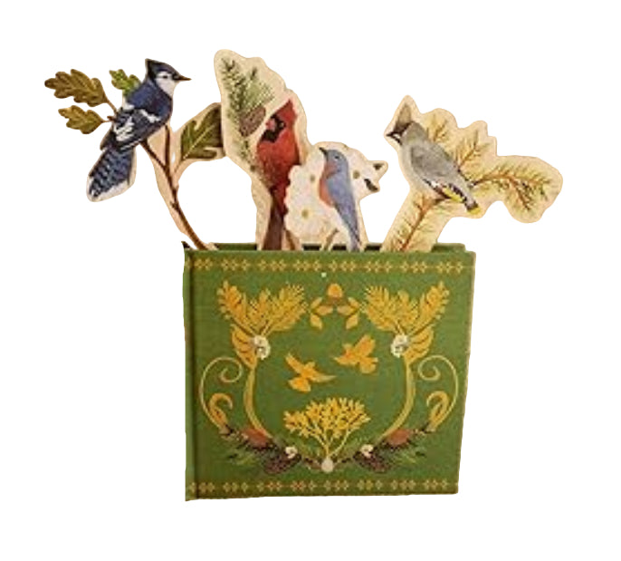 'Birds in a Book' (Uplifting Editions) by Lesley Earle & Rachel Grant