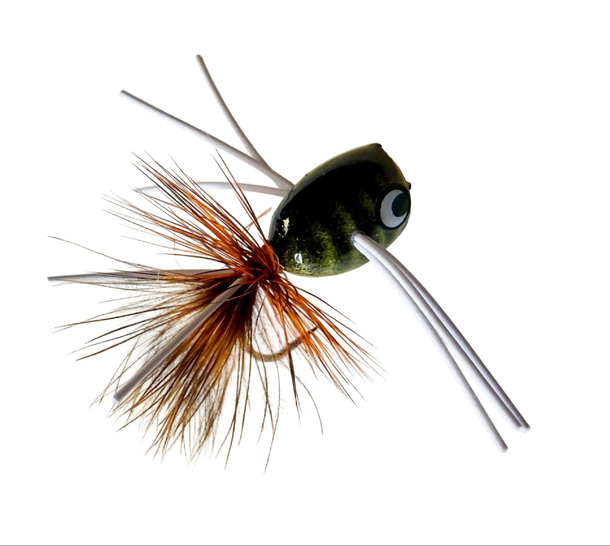 Bream Popper
