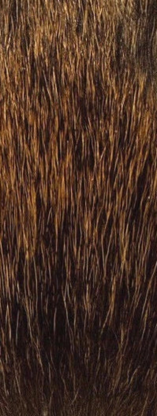 Classic Bull Elk Mane