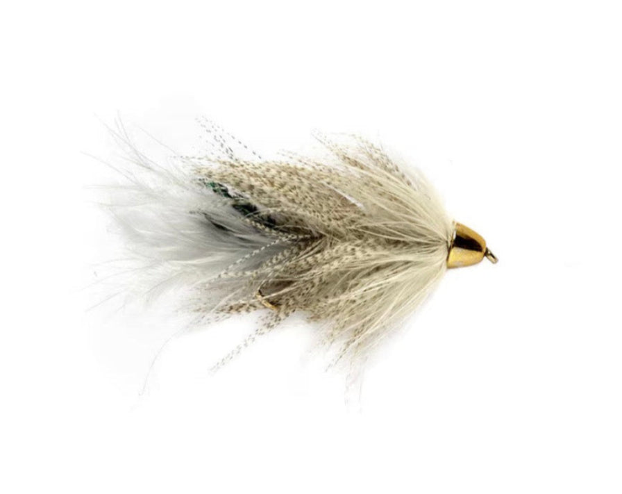 Conehead Moto's Minnow