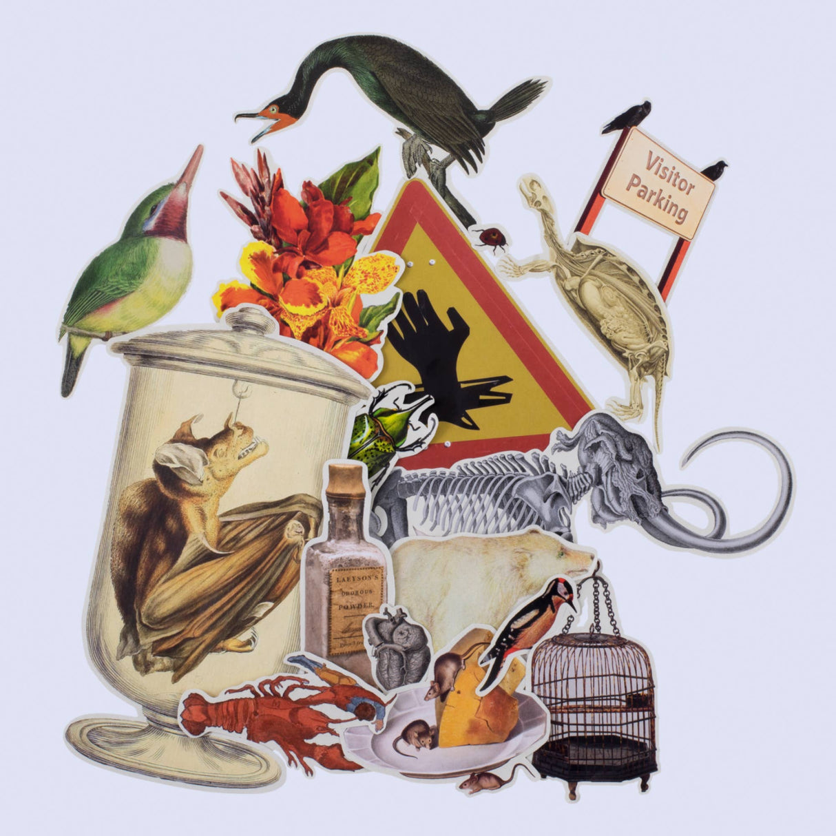 'Cut Up This Book and Create Your Own Underworld' by Eliza Scott