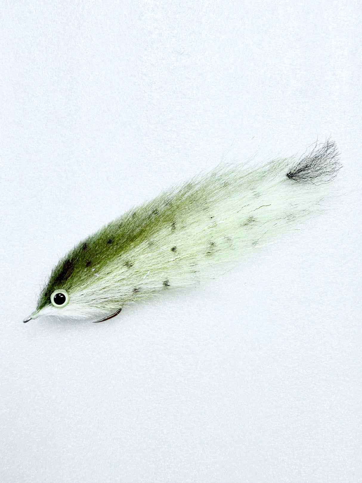 Dorado - SALE
