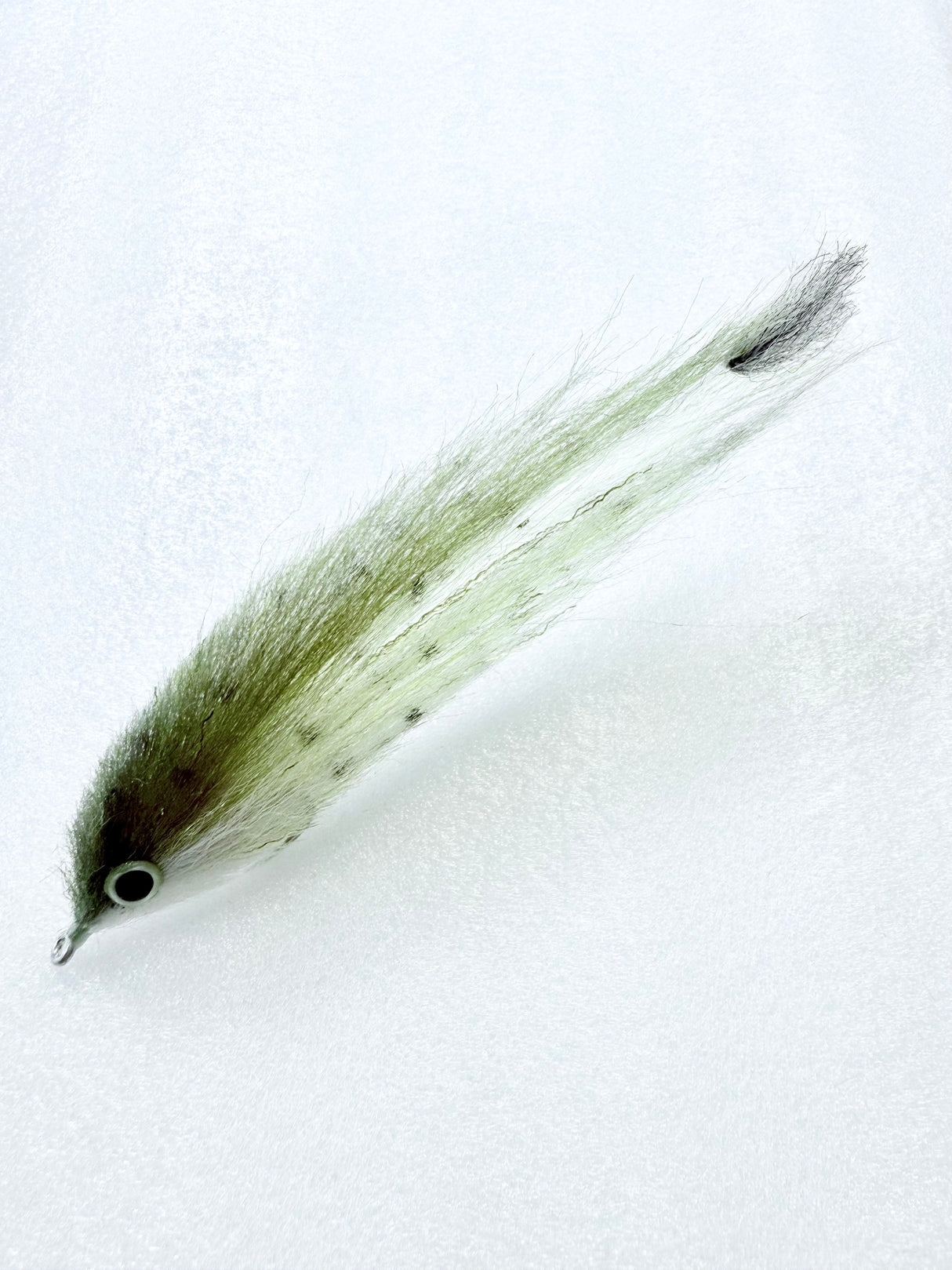 Dorado - SALE