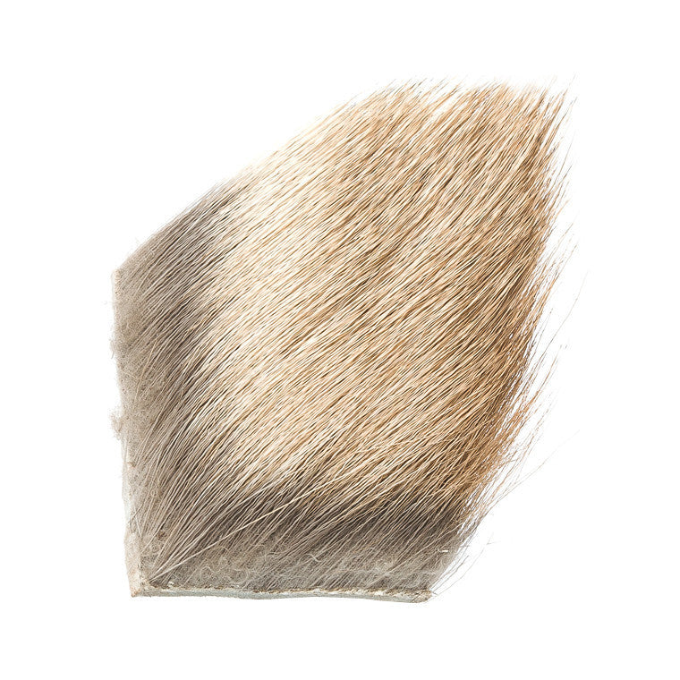 Elk Body Hair