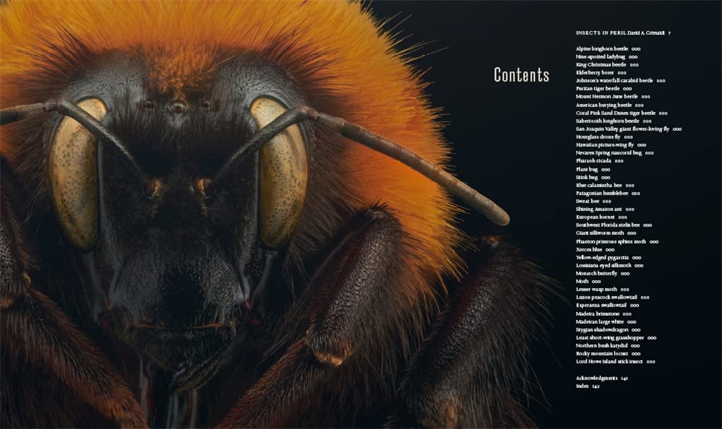 'Extinct & Endangered' photographs by Levon Biss