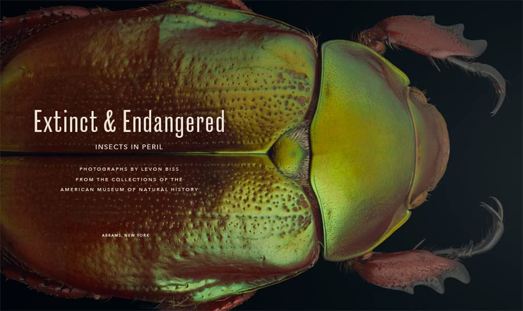 'Extinct & Endangered' photographs by Levon Biss