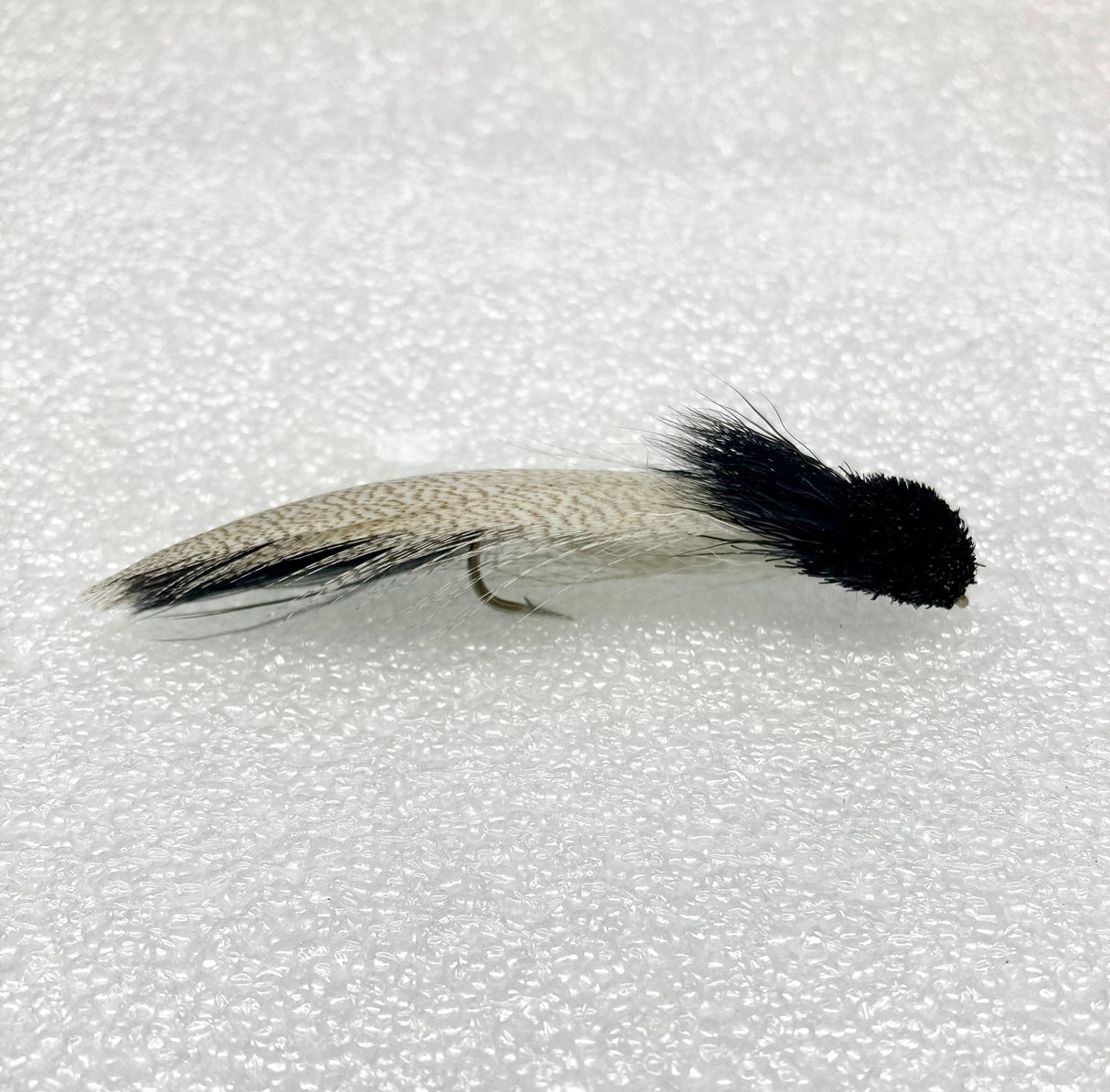 Galloup's Zoo Cougar