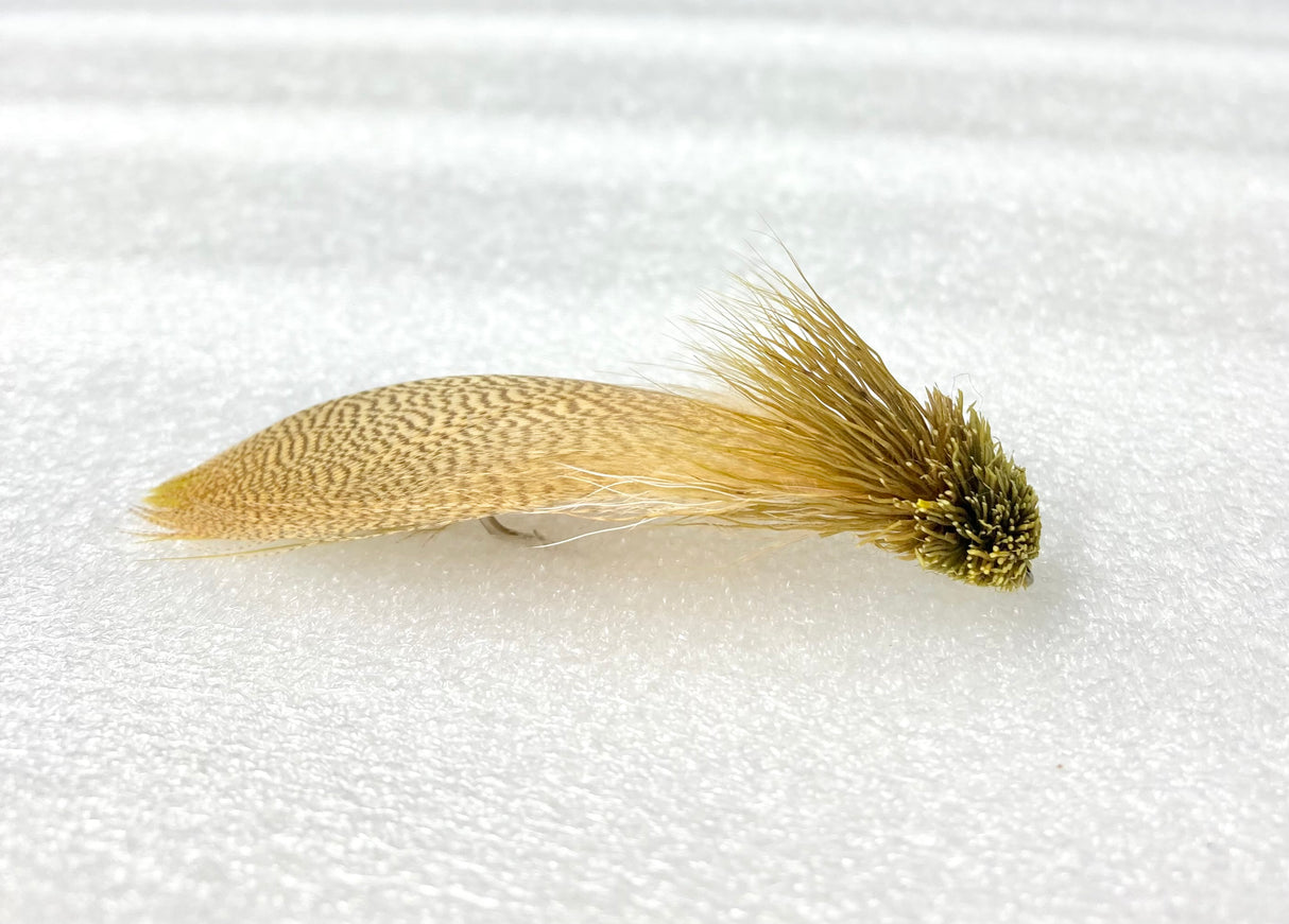 Galloup's Zoo Cougar