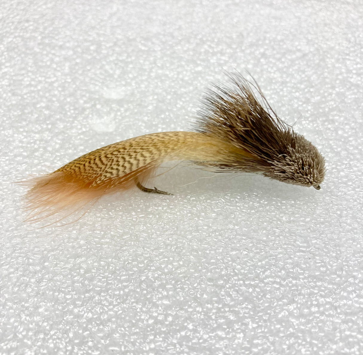 Galloup's Zoo Cougar