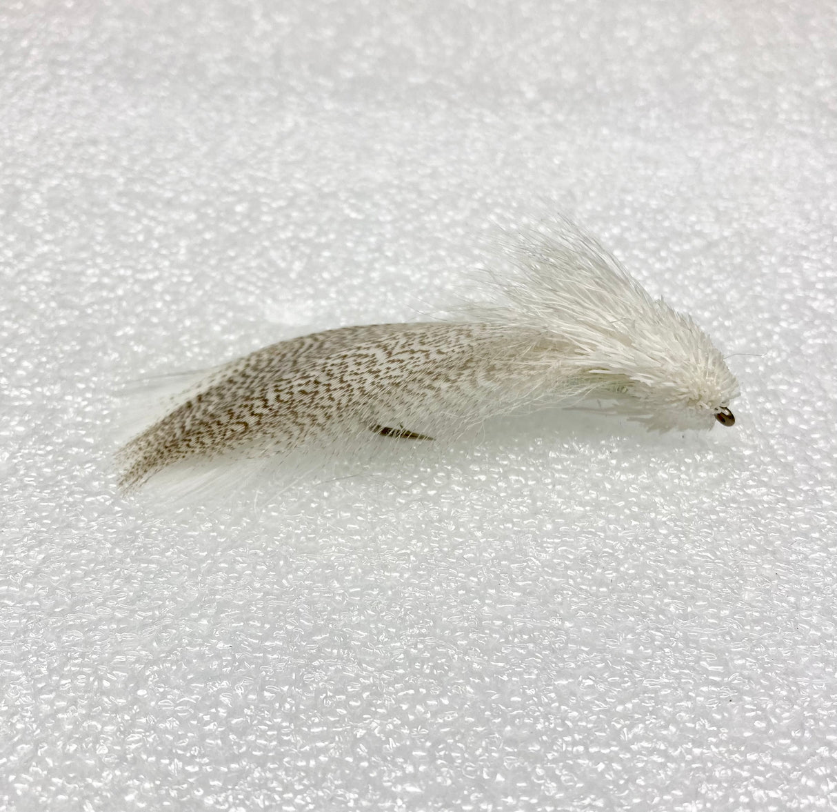 Galloup's Zoo Cougar