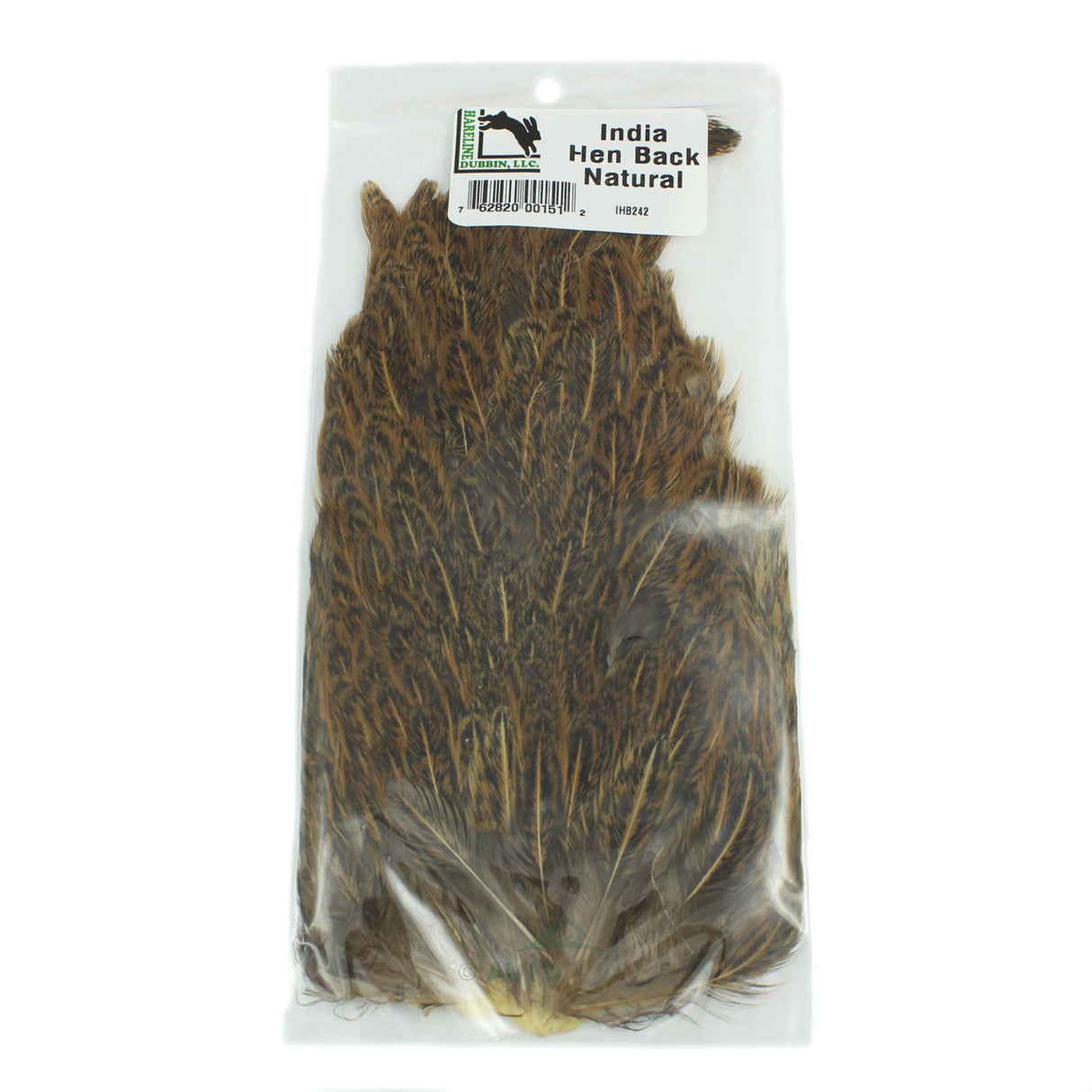 India Hen Back