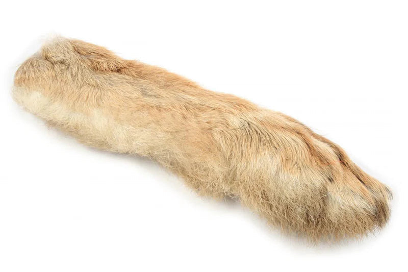 Hares Feet