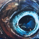 Fish Eye Trucker Hat