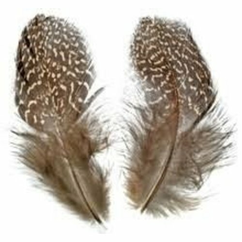 Loose Partridge, Natural