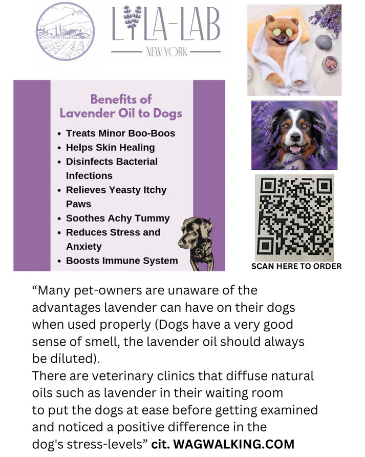 Lavender Essential Oil - 100% Natural