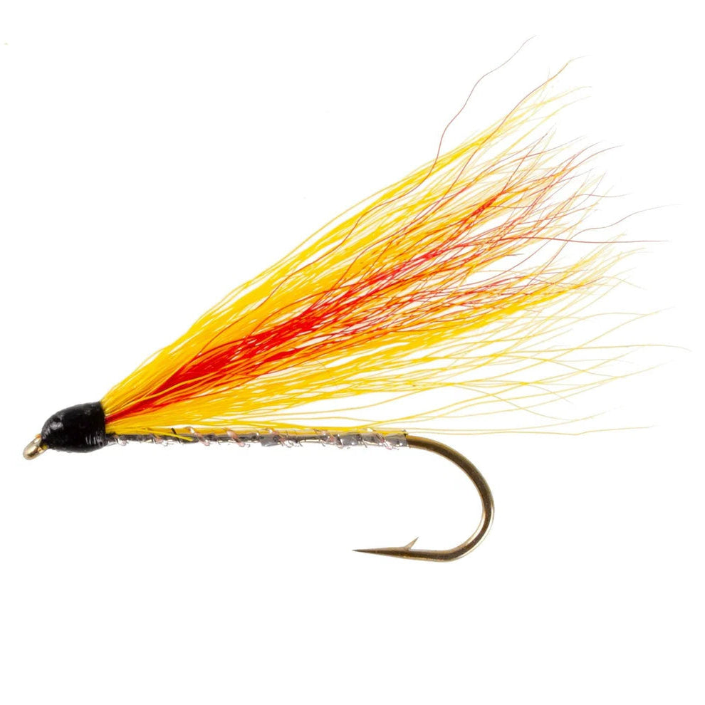 Mickey Finn
