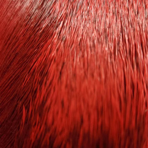 Nature’s Spirit Select Cow Elk (2x3)