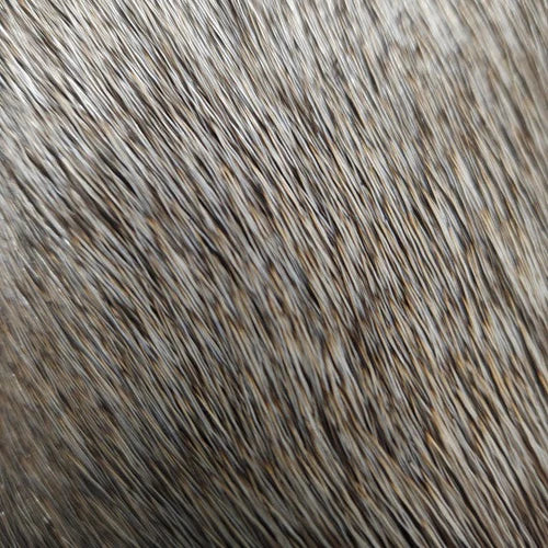 Nature’s Spirit Select Cow Elk (2x3)