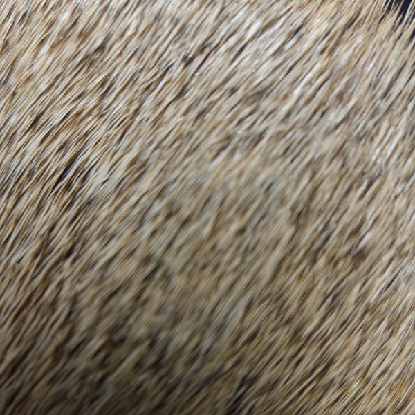 Nature’s Spirit Select Cow Elk (2x3)