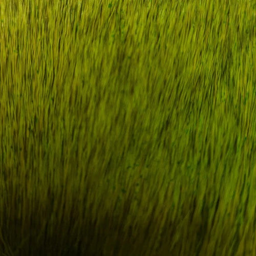 Nature’s Spirit Select Cow Elk (2x3)