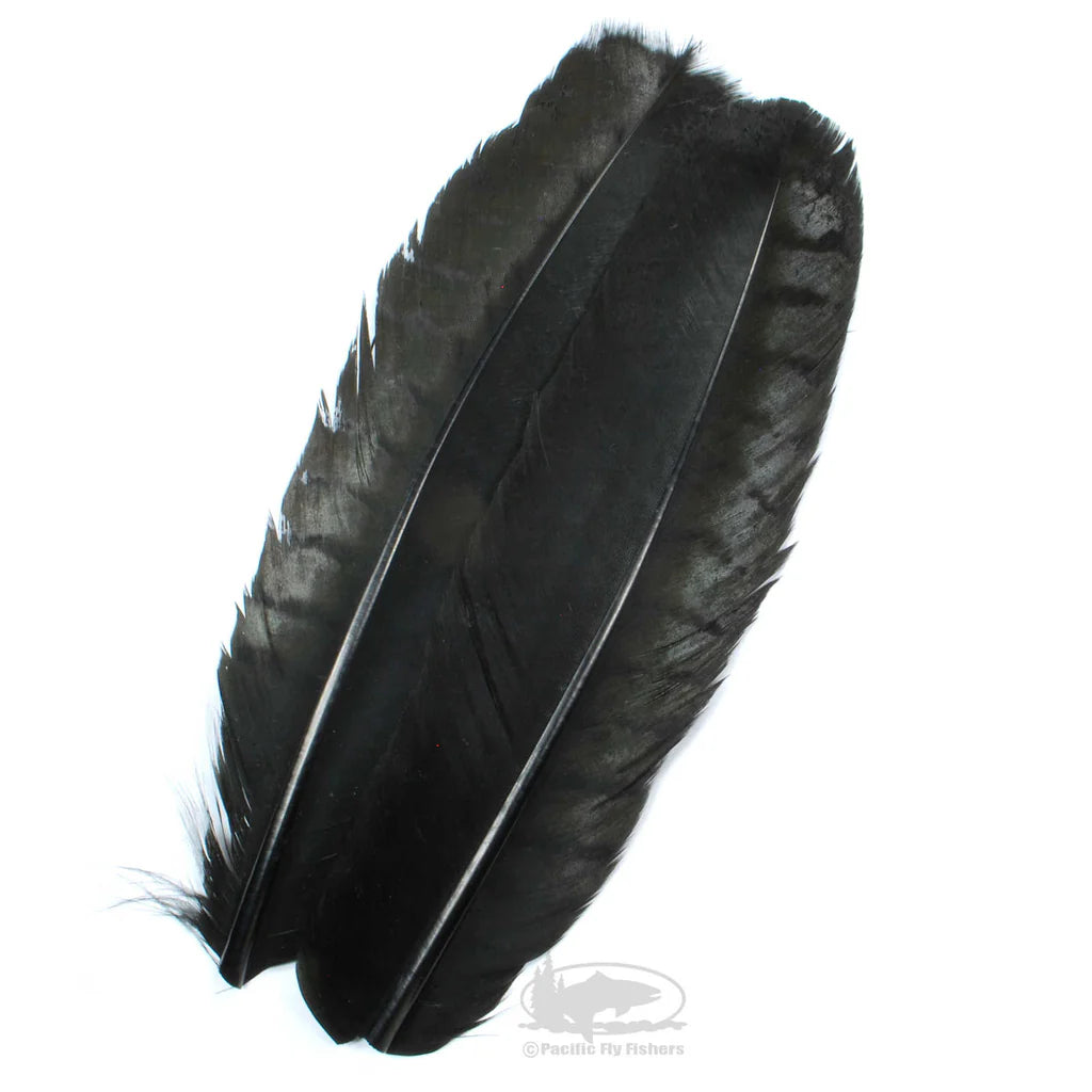 Ozark Turkey Quill - SALE