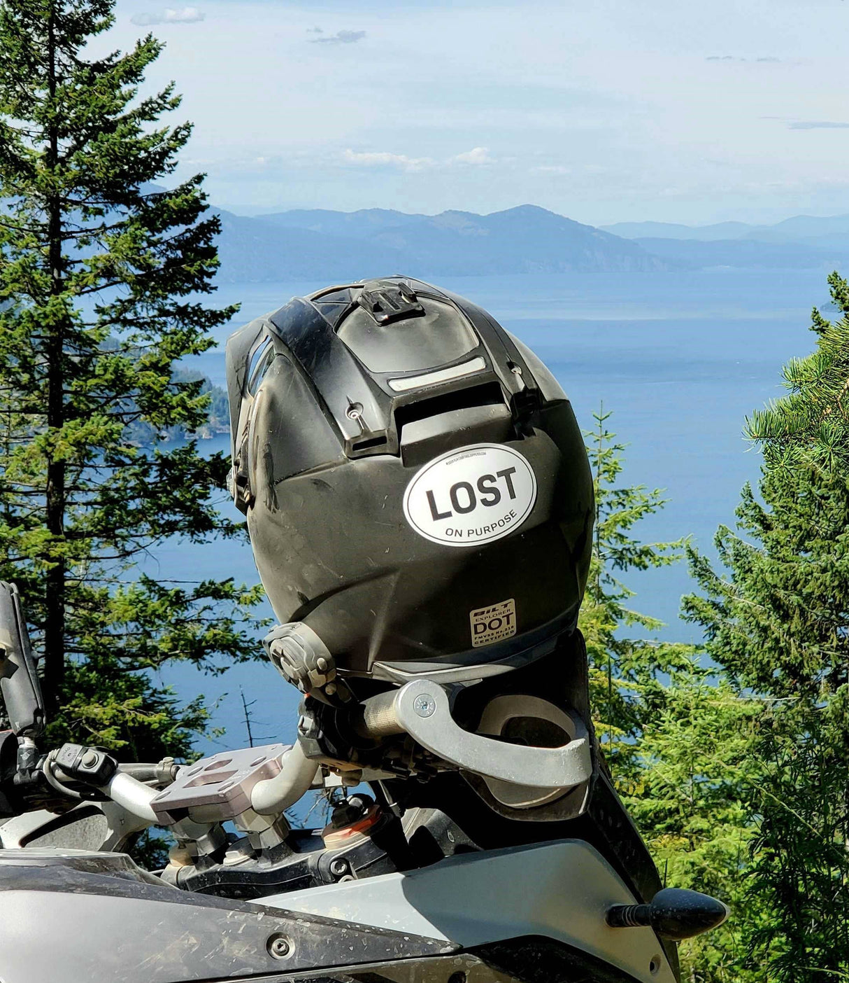 Oval Sticker - Lost on Purpose