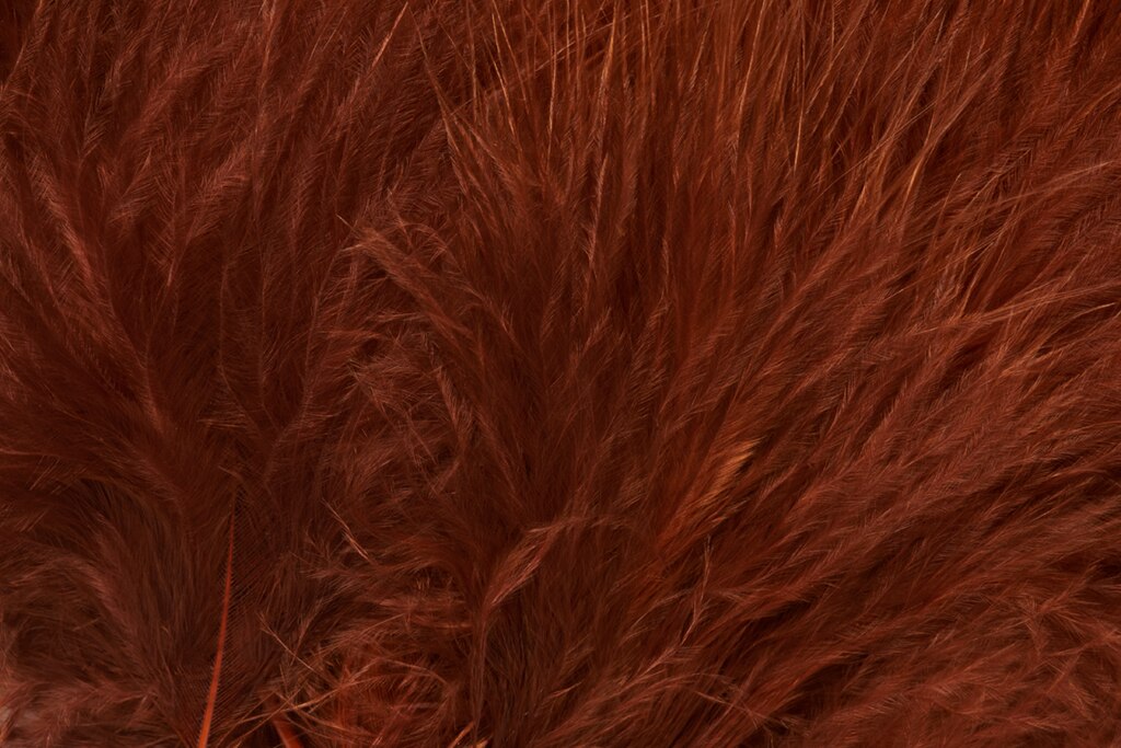 Premium Select Marabou