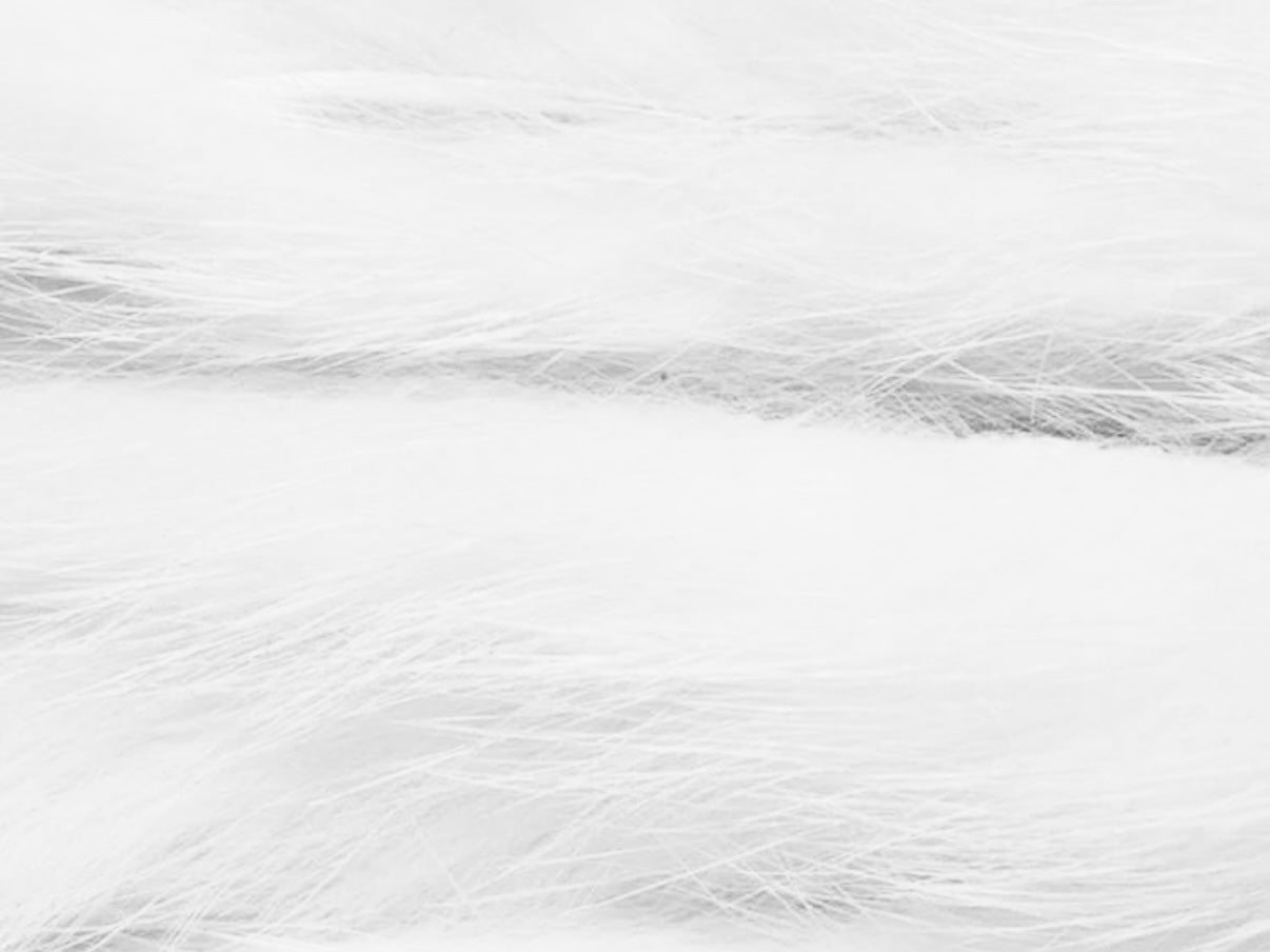 Rabbit Zonker Standard