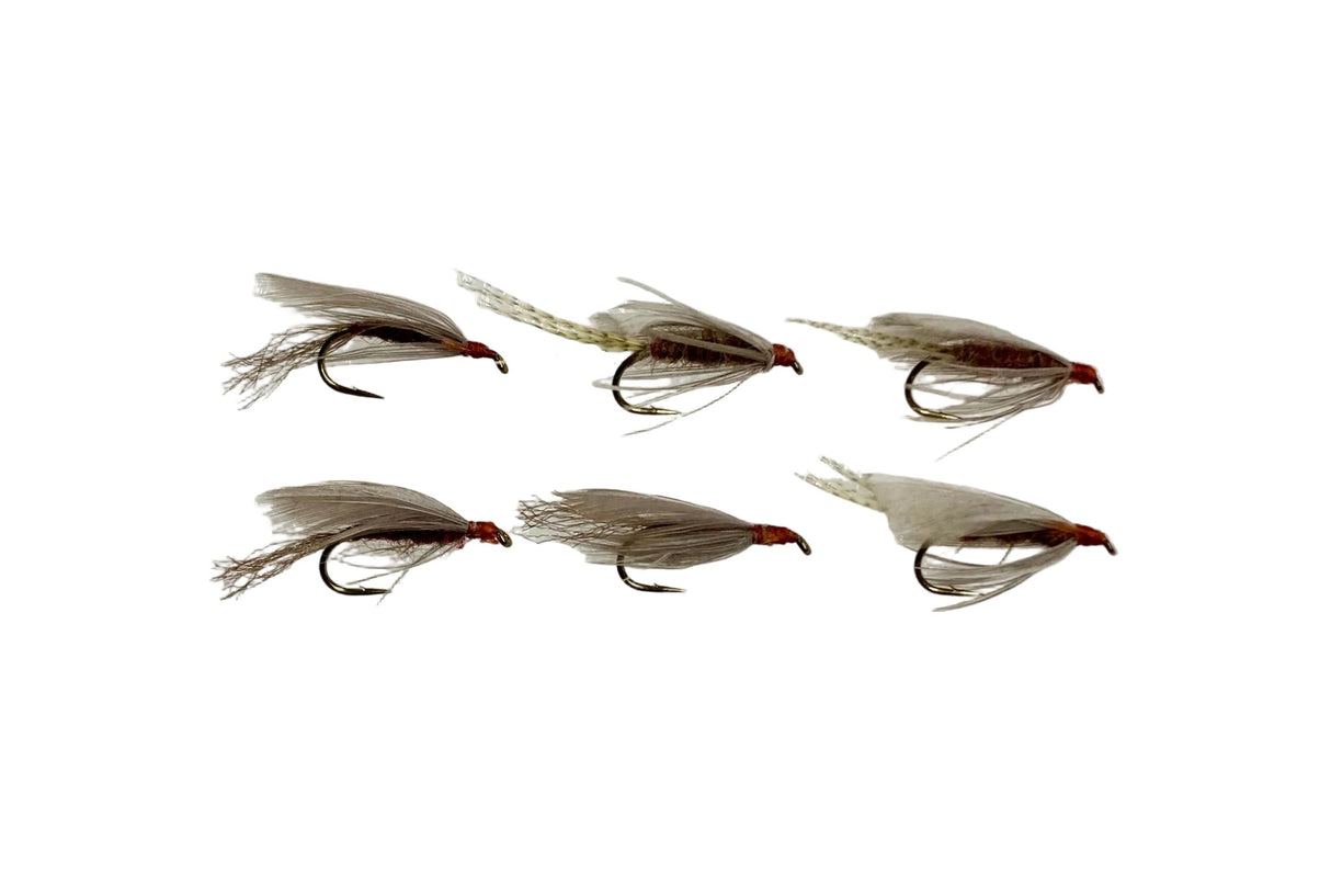 Red Quill Wet - 1/2 dozen