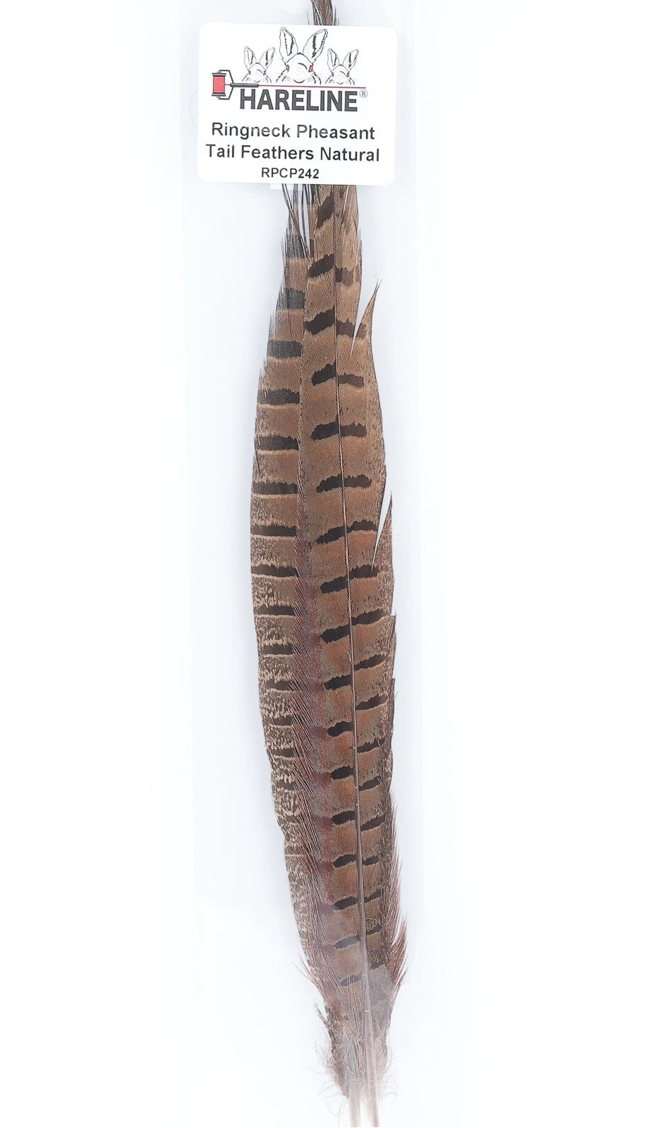 Ringneck Pheasant Tail Feathers