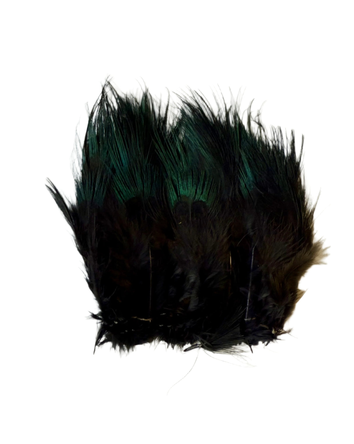 Ringneck Rump Hackle - SALE