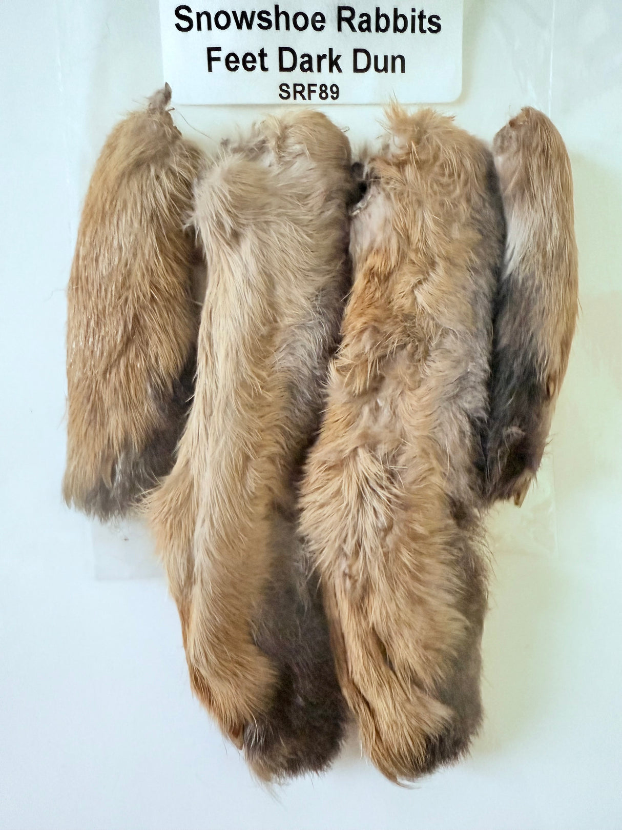 Snowshoe Rabbit Feet