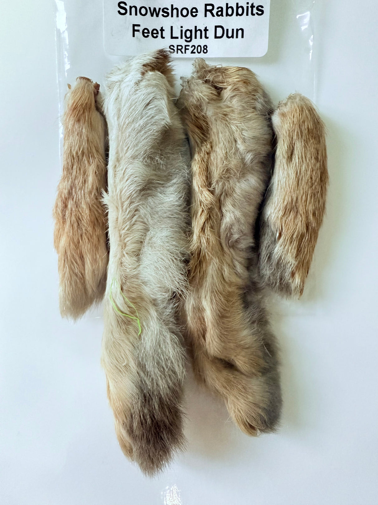 Snowshoe Rabbit Feet