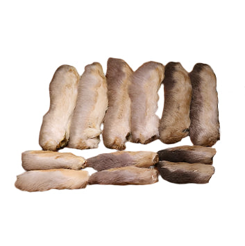 Snowshoe Rabbit Feet