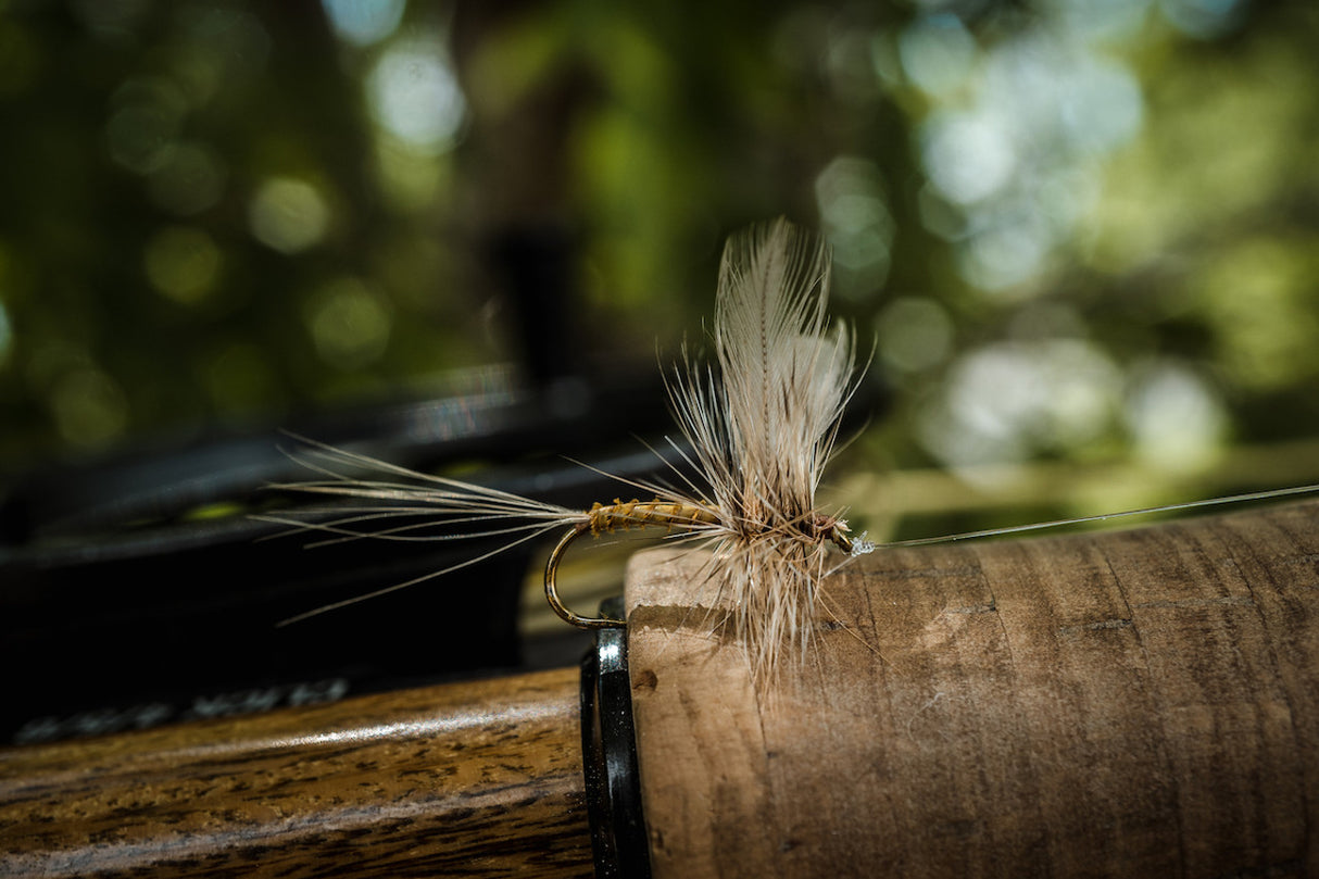 TMC 100 - Dry Fly Hooks