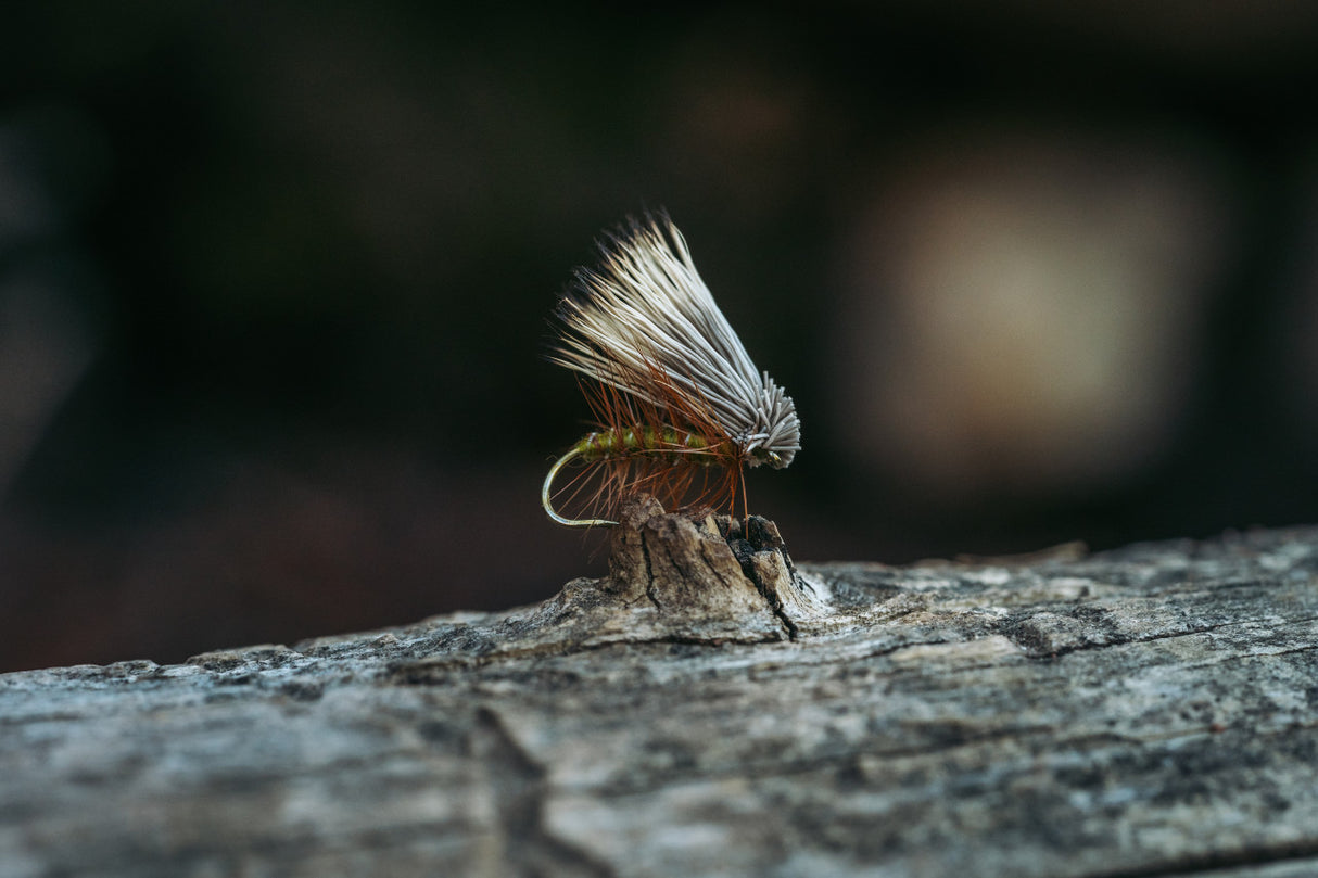 TMC 100 - Dry Fly Hooks