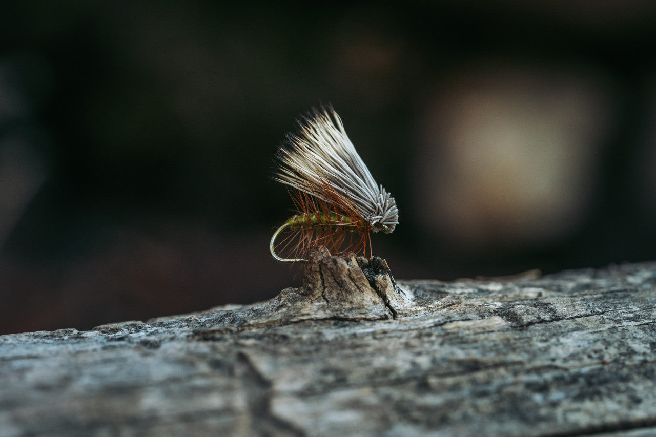 TMC 100 - Dry Fly Hooks