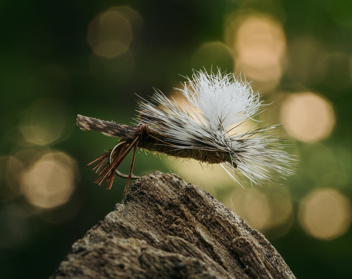 TMC 5212 - Dry Fly Hooks