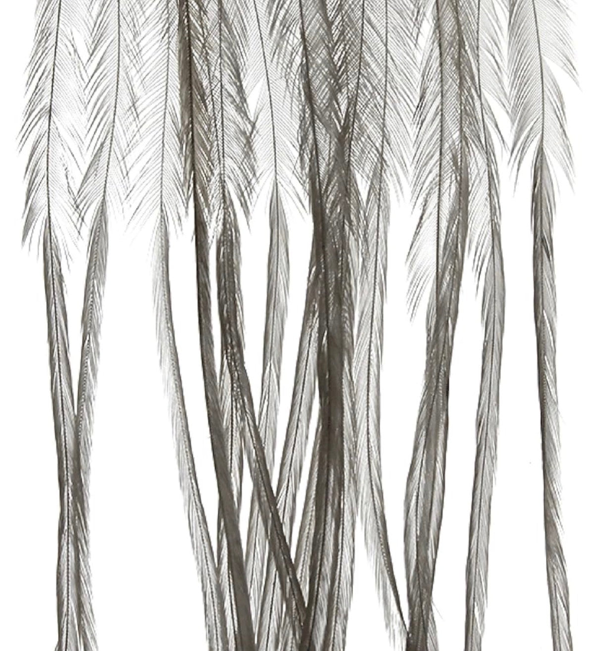 Whiting 100 Pack