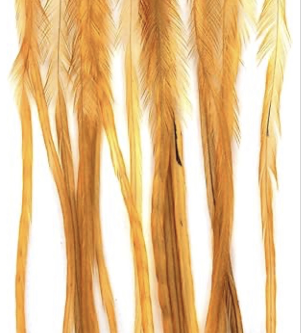 Whiting 100 Pack