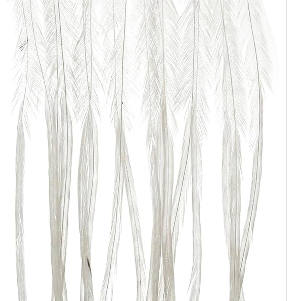 Whiting 100 Pack