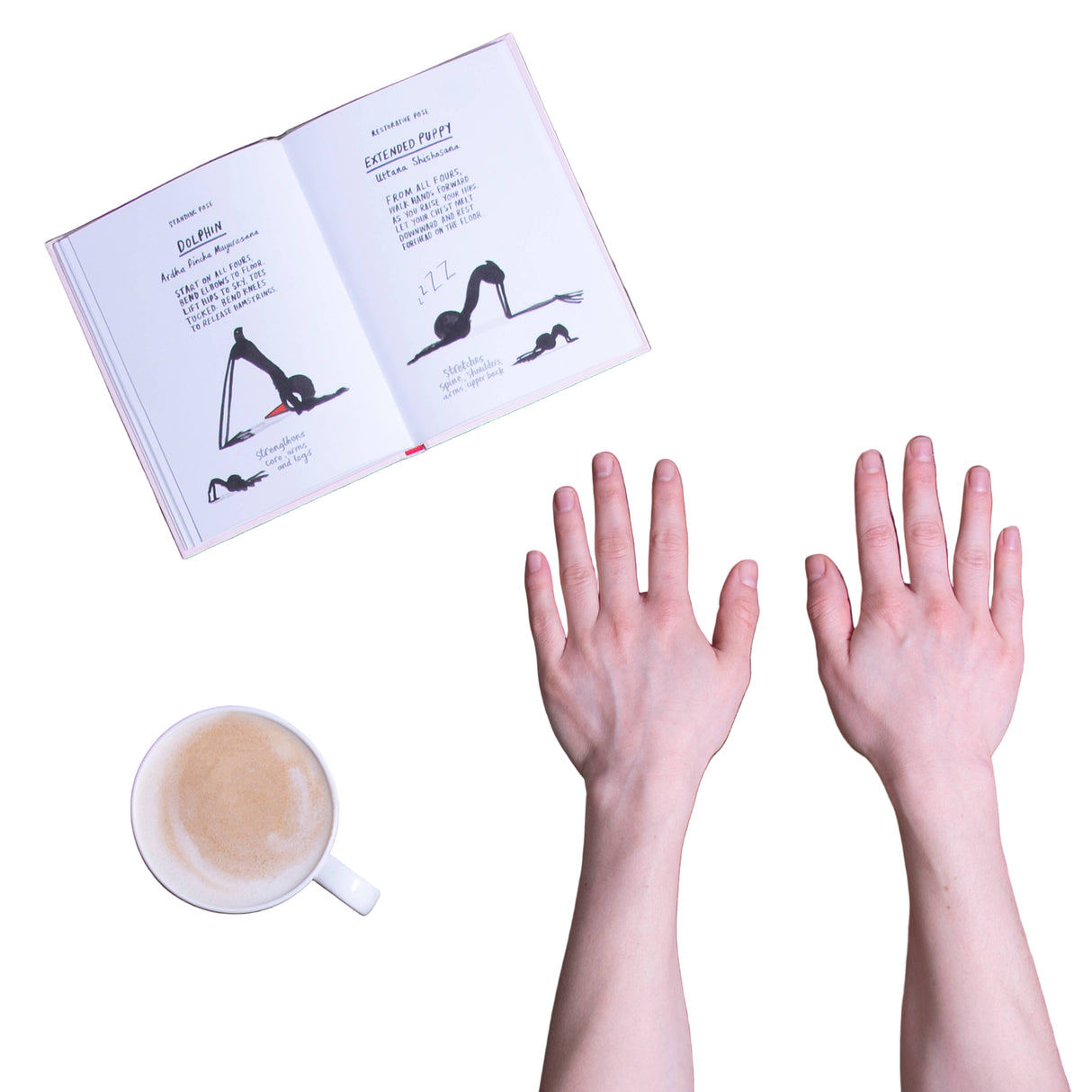 'Yoga for Stiff Birds' by Marion Deuchars