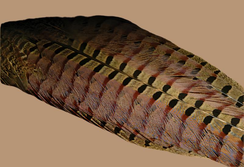 Hareline Ringneck Pheasant Clump